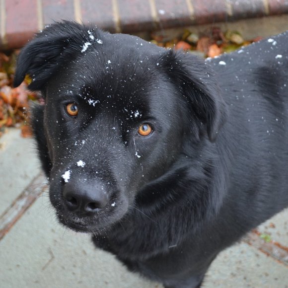 COPY - title - Picture 1 of 1